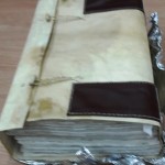 1- LIBRO BECERRO