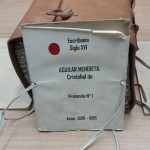 3- PROTOCOLO N° 1