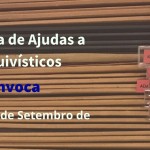 XIX convocatoria banner Web PT