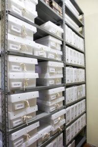 Documentos avulsos acondicionados em caixas poliondas depois do tratamento de preservação