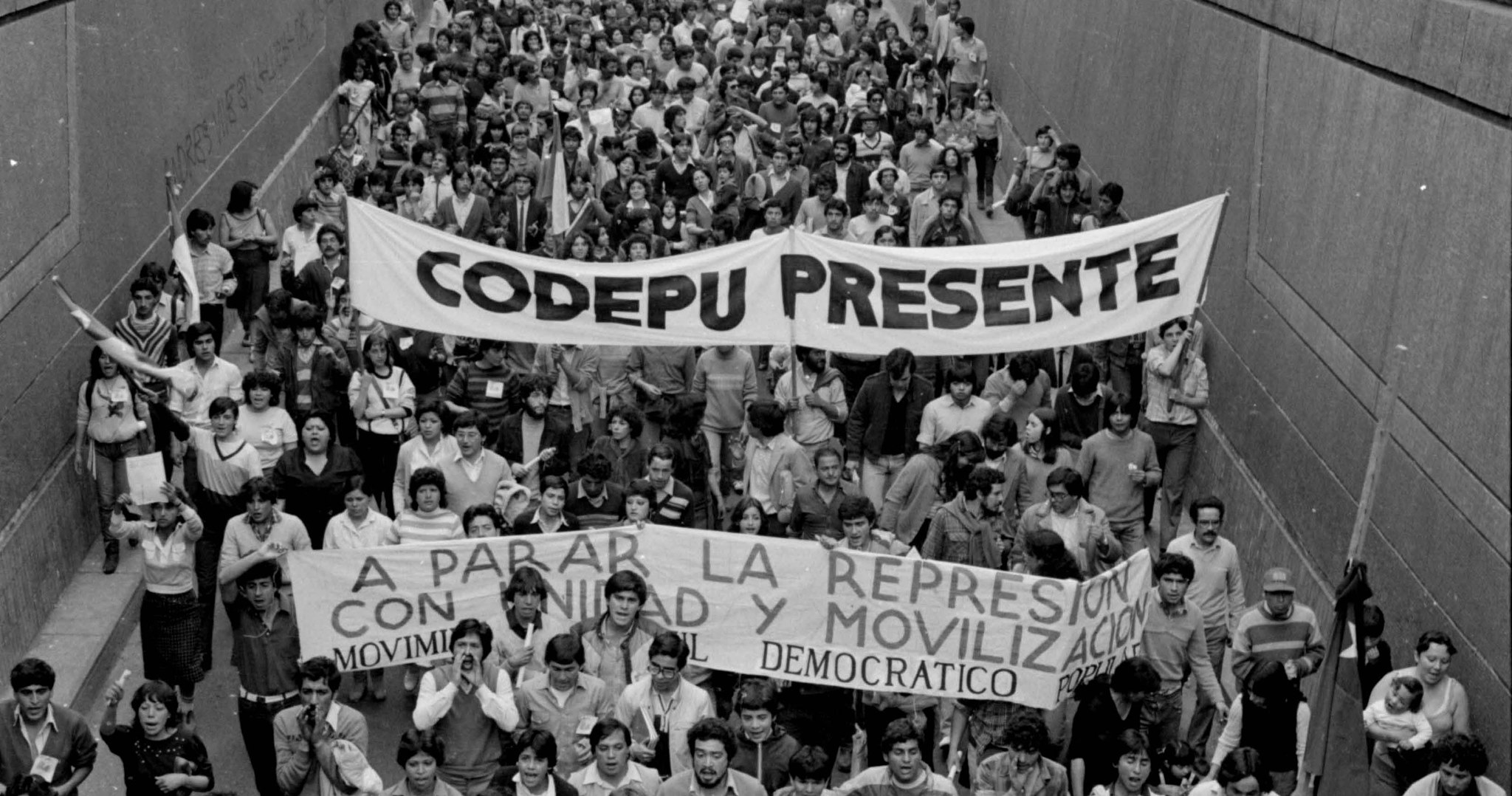 Organización y conservación de los archivos de los Derechos Humanos de CODEPU: 1980-2000 (Registrados en el Programa Memoria del Mundo de la UNESCO) (1ª fase)