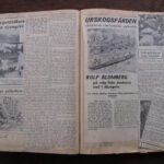 Documento del mes – Archivo Blomberg – Foto 06